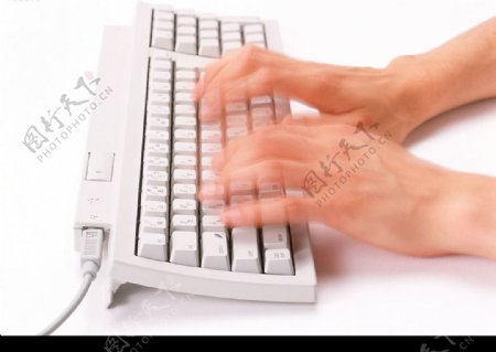 手手的表情手势手的姿势键盘