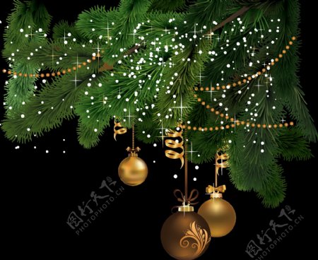 圣诞树枝和圣诞树免抠png透明素材