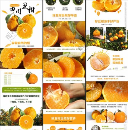 丑橘橘子描述详情页