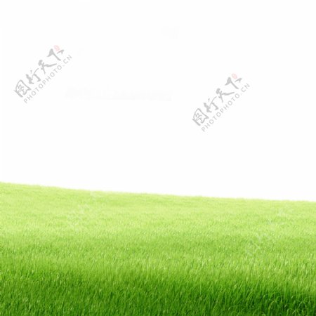 绿色植被草丛春天清新素材