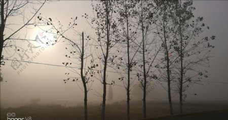 大雾下的乡村田野