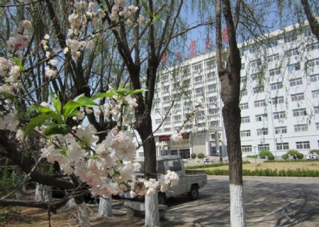 辽宁工业大学景观