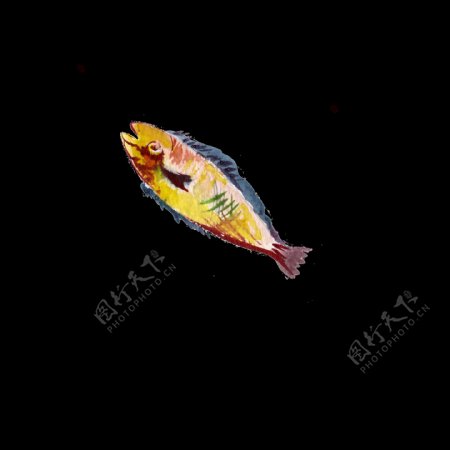 黄色鱼水彩手绘透明素材