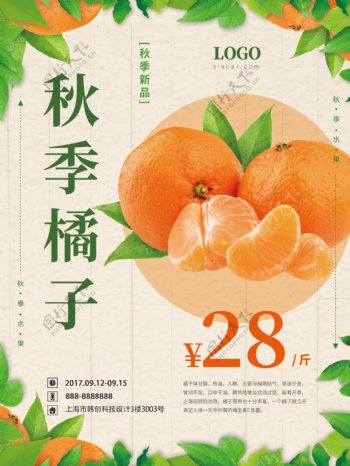 橙色绿色古风水果店橘子促销海报.psd