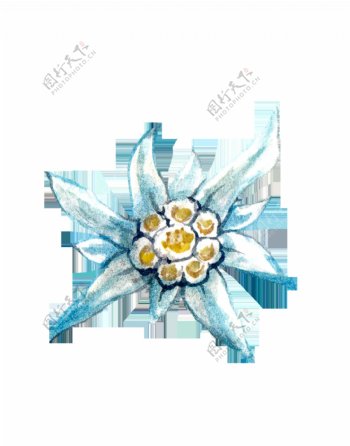蓝色手绘花朵卡通透明水彩素材