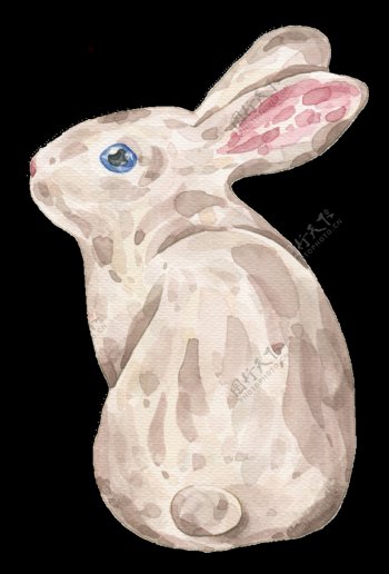 手绘泥塑蓝眼睛兔子透明装饰图案