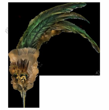 绿色漂亮羽毛免抠png透明图层素材