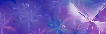 唯美紫色花朵banner背景素材