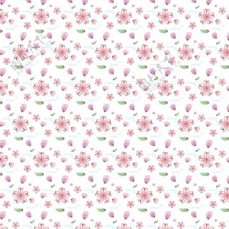 彩绘樱花花朵无缝背景矢量图
