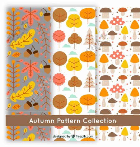 秋天的图案树叶和蘑菇