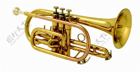 漂亮金色铜管乐器免抠png透明素材