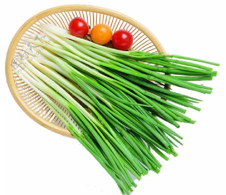 绿色韭菜蔬菜png元素素材