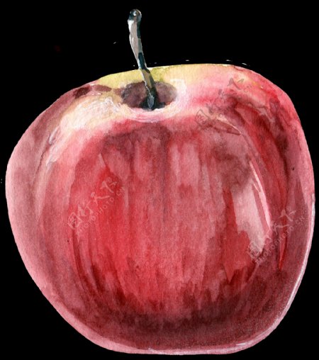 红苹果写生透明素材