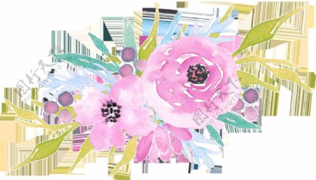 粉圈花丛卡通透明装饰素材