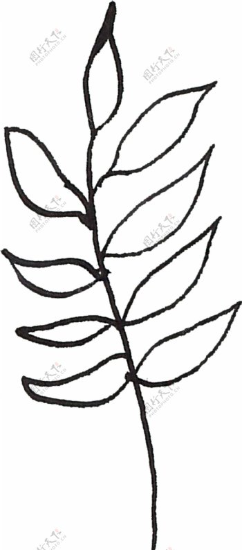 黑色线条植物水彩透明素材