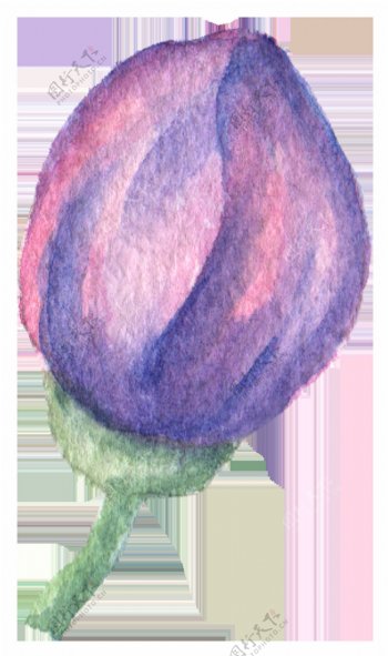紫红花瓣卡通水彩透明素材