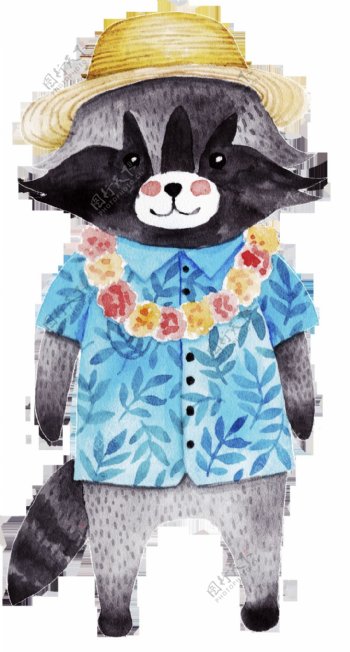 夏威夷衣着风格的浣熊png透明素材