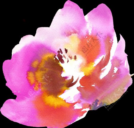 粉色系花朵透明装饰素材