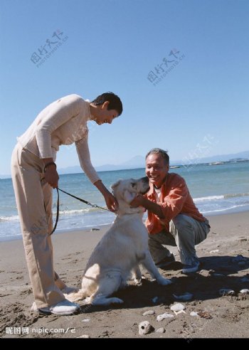 海滩老人和狗玩耍