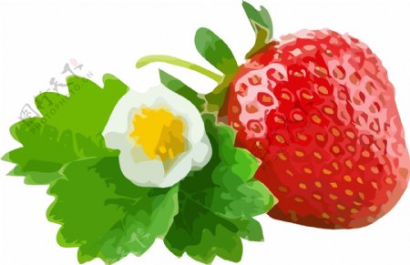 插画手绘红色草莓水果素材水果元素