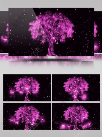 粉色光效树动态视频