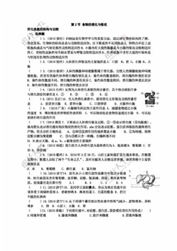 九年级上科学食物的消化与吸收