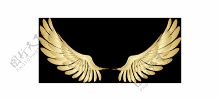 金色翅膀插画png元素