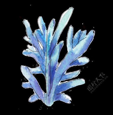 手绘一株蓝色珊瑚png透明素材