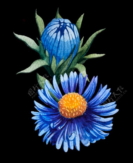 魅惑蓝色手绘菊花装饰元素