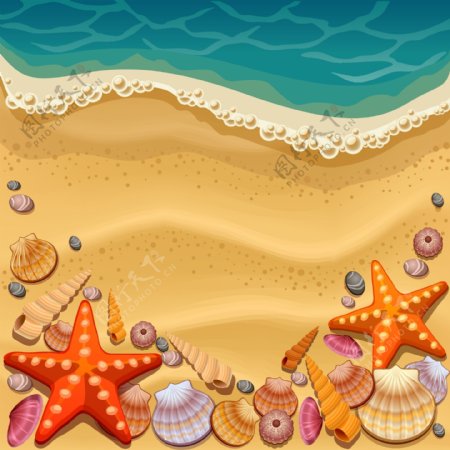 大海沙滩和贝壳插画