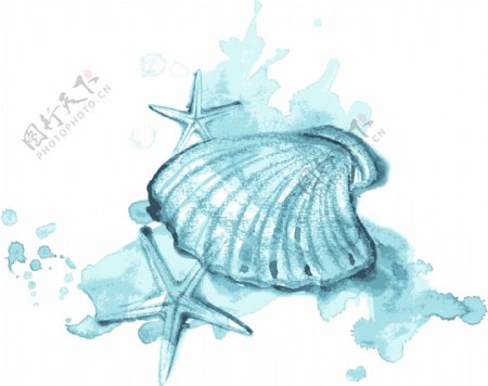 蓝色水彩绘贝壳和海星插画