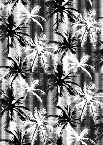 植物风景神秘风格椰子树植物广告背景