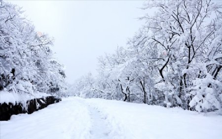 雪路