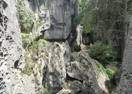 云南石林石头