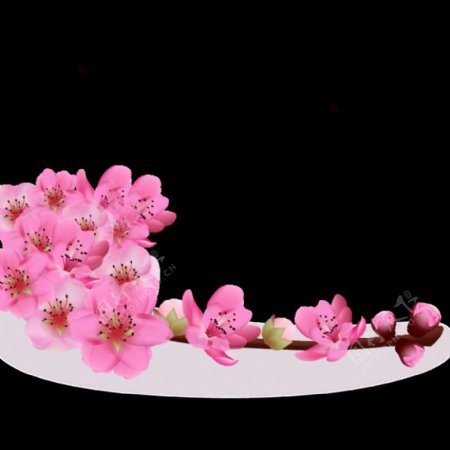 清新风亮粉色花朵樱花装饰元素
