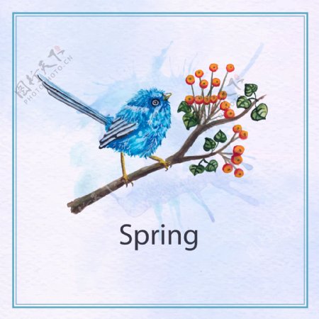 彩绘春季花枝上的蓝色鸟矢量素材