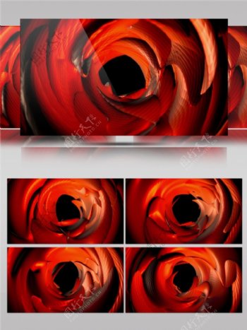 红色玫瑰动态视频素材