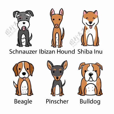 六种不同品种的狗