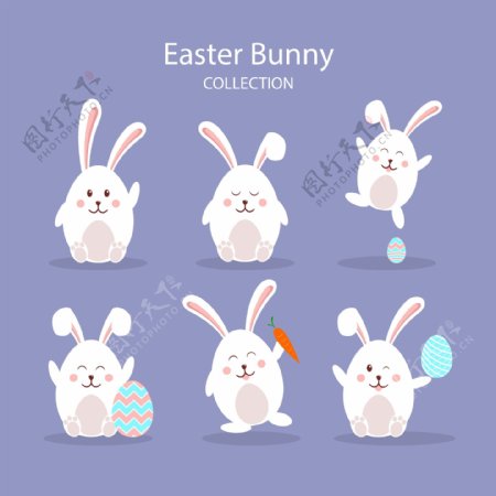 复活节兔子系列