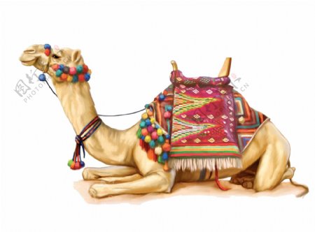 卡通休息骆驼png元素