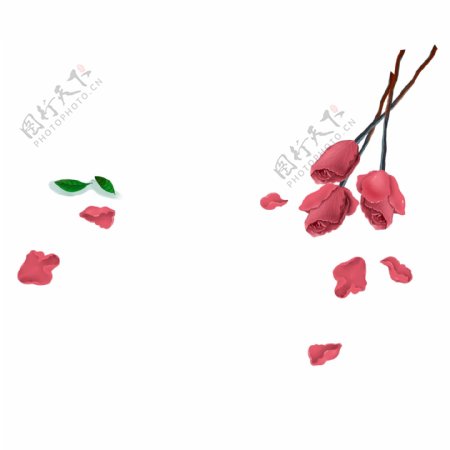 浪漫玫瑰花和花瓣设计
