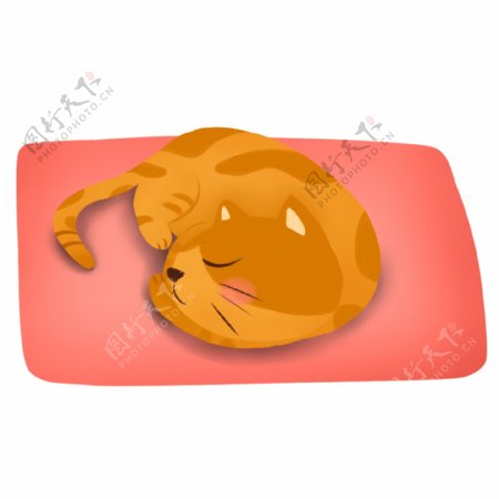 手绘卡通可爱猫咪窝在垫子上睡觉原创元素