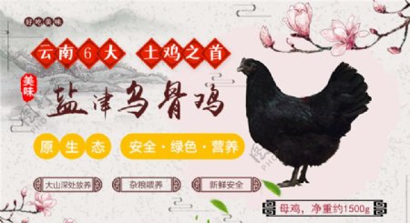 盐津乌鸡banner图