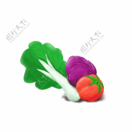 健康蔬菜果蔬大白菜紫包菜红番茄手绘可爱