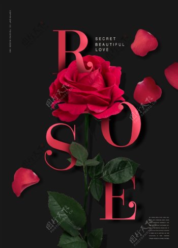 韩系大气黑色红玫瑰鲜花海报设计