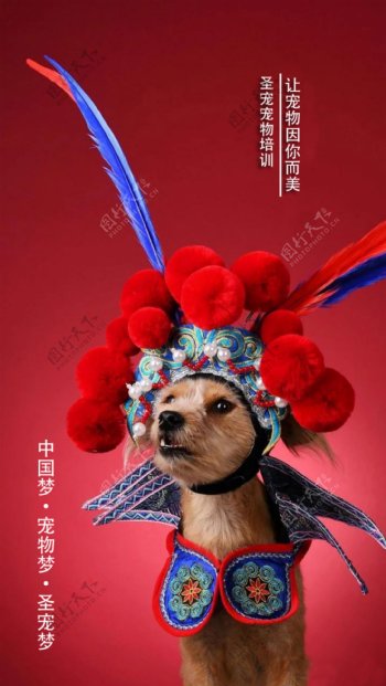 中国梦宠物梦海报