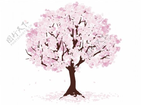 漂亮的粉色樱花树素材