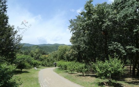 植物园风景