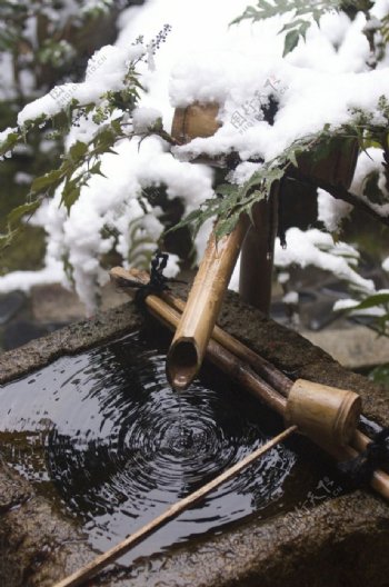 雪水松树枝竹桶流水