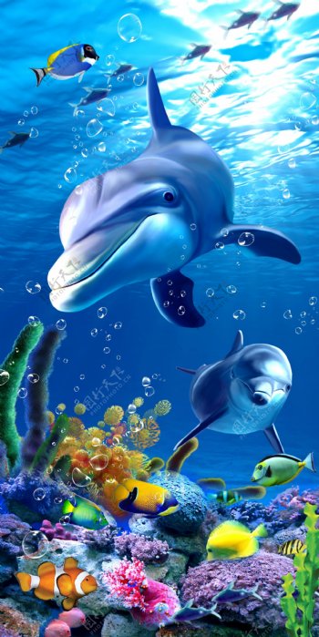 儿童玄关屏风海洋海豚鱼背景底纹